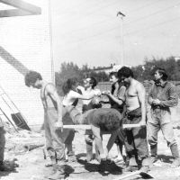 Комикс 1, Сцена 7 - "После битвы - Вынос побежденного тела. На заднем плане - воссоединение возлюбленных, публика довольна..."