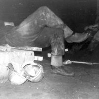 "Дети подземелья"